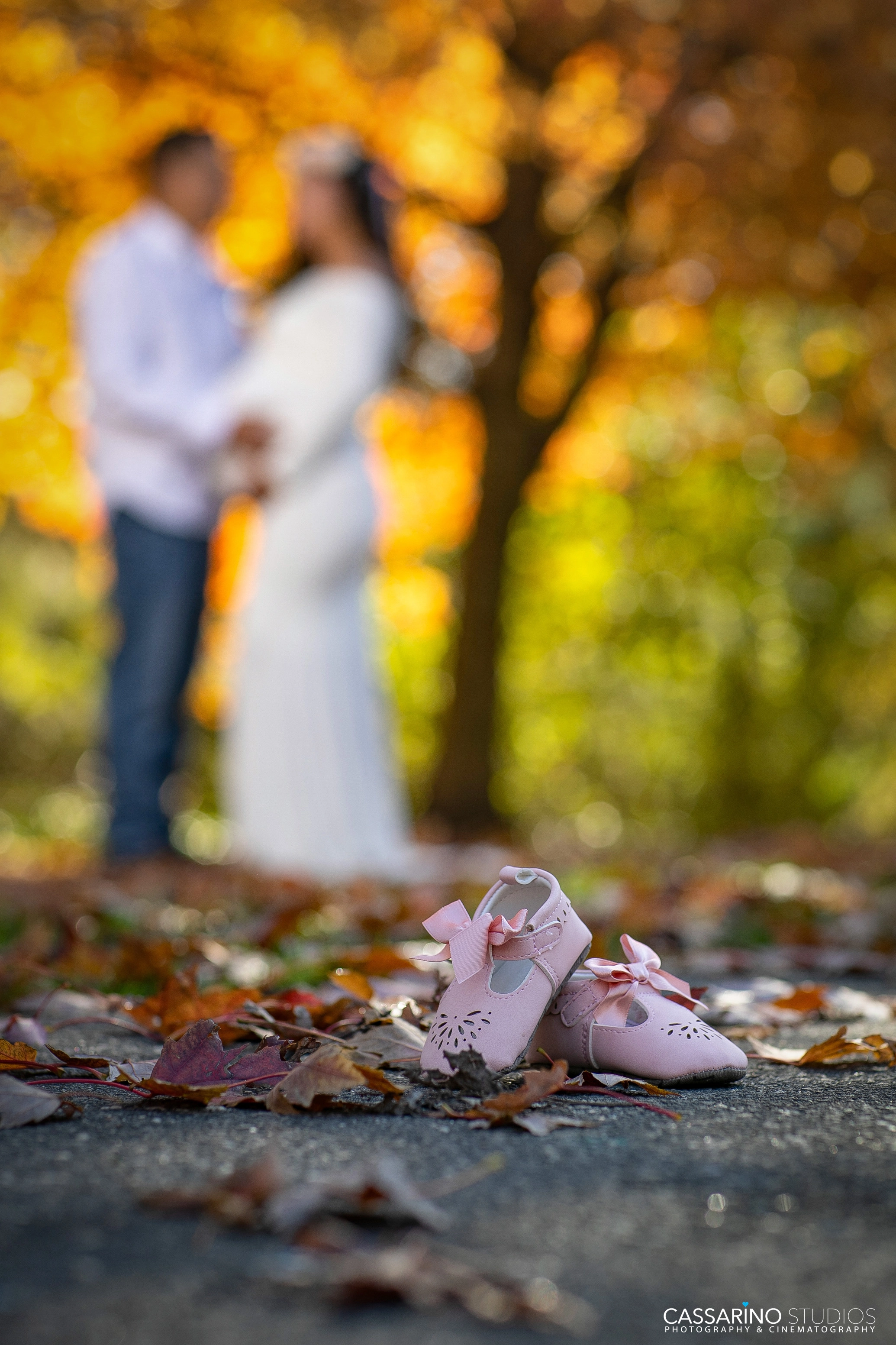 Maternity photographer Nassau County Cassarino Studios